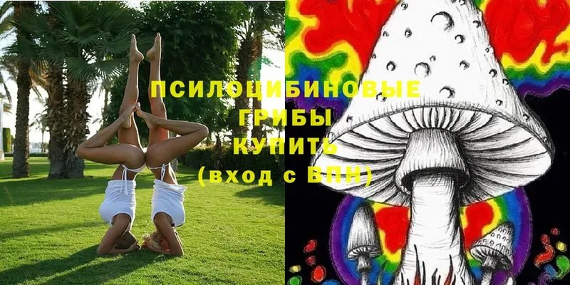 Галлюциногенные грибы MAGIC MUSHROOMS  сколько стоит  Алексин 